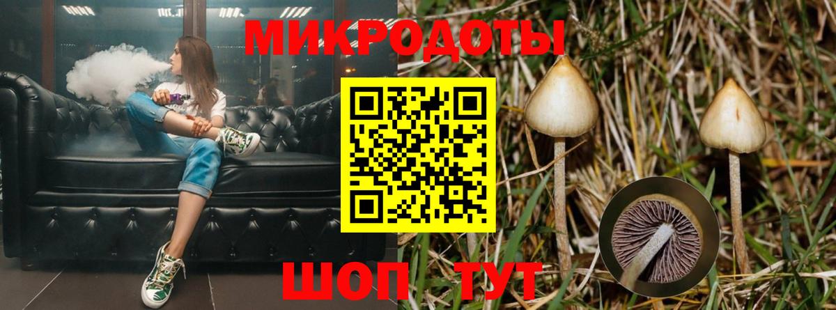 Коркино  Псилоцибиновые грибы мухоморы  Вход с VPN 