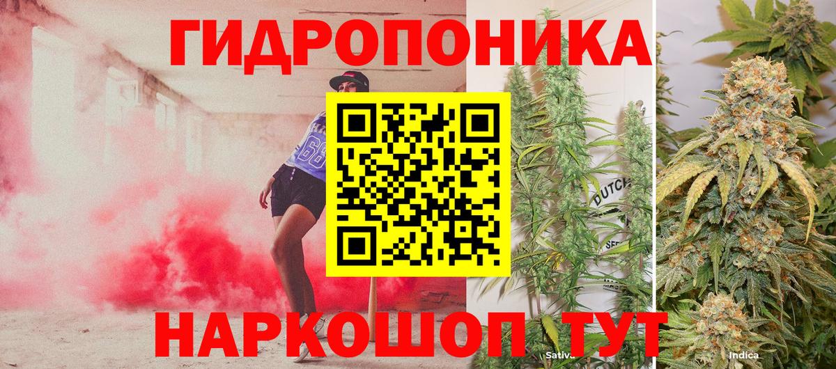 Шишки марихуана марихуана  Бошки Шишки AK-47  Коркино  Марихуана ГИДРОПОН  Бошки Шишки семена  Вход с VPN 
